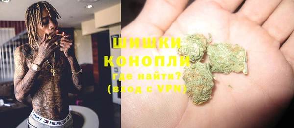 шишки Абинск