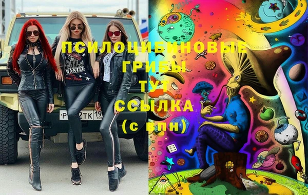 2c-b Лиски