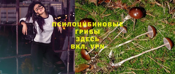 шишки Абинск