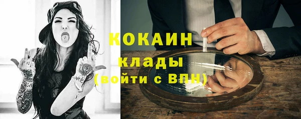 шишки Абинск