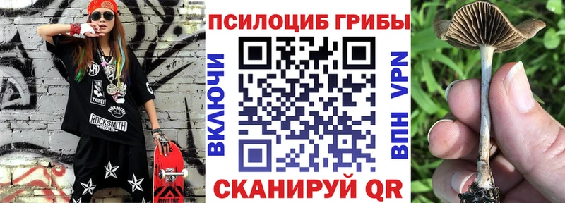 Псилоцибиновые грибы Cubensis  купить закладку  Урус-Мартан 